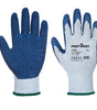 GANT ENDUIT LATEX PORTWEST