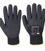 GANT HIVER ARCTIC PORTWEST