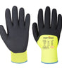GANT HIVER ARCTIC PORTWEST