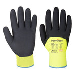 GANT HIVER ARCTIC PORTWEST