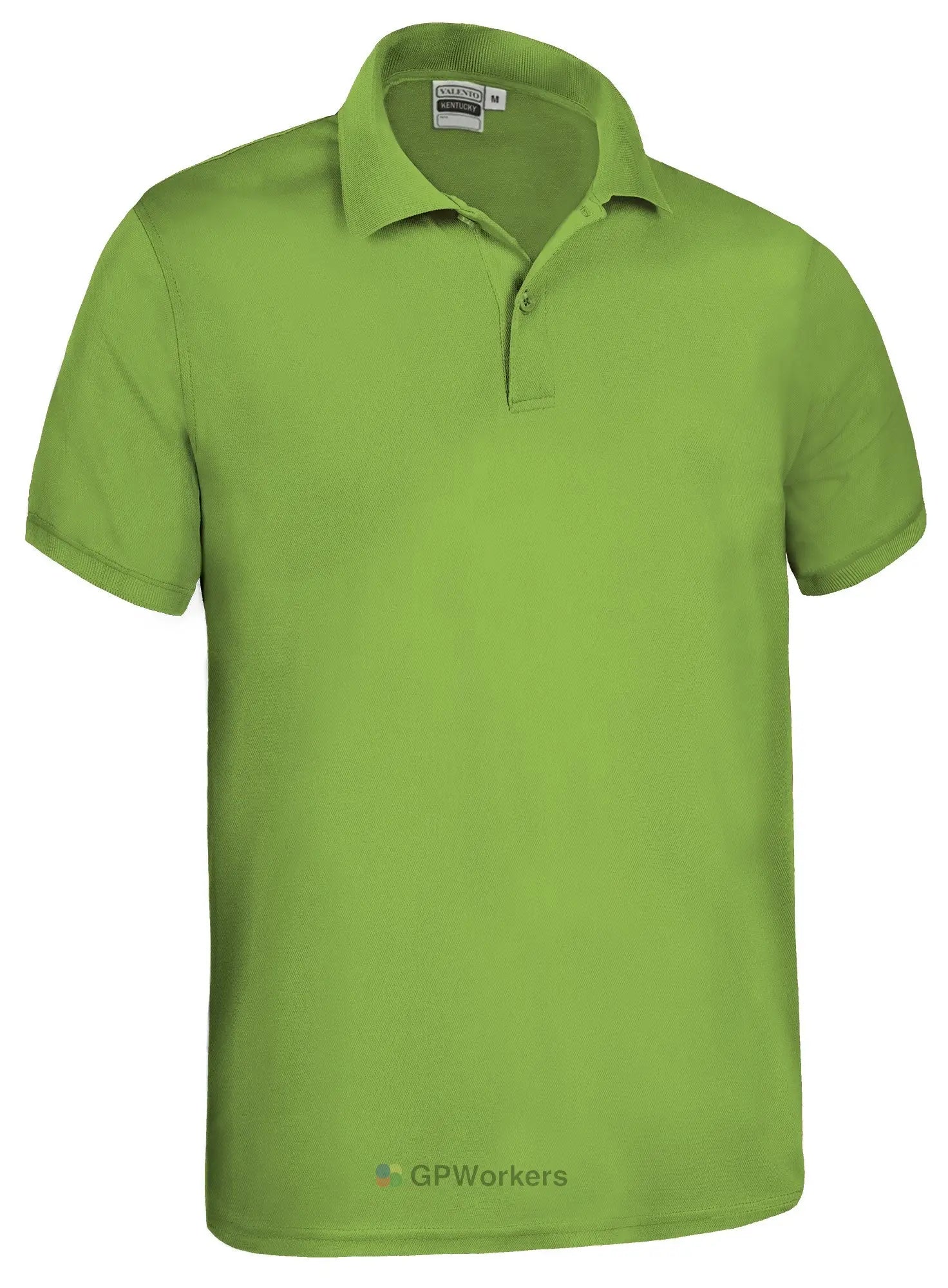 Polo manche courte KENTUCKY