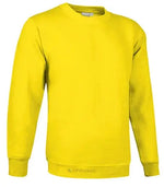 Sweat DUBLIN VALENTO