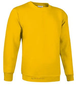 Sweat DUBLIN VALENTO