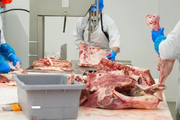 Atelier de coupe de Ma France Nature